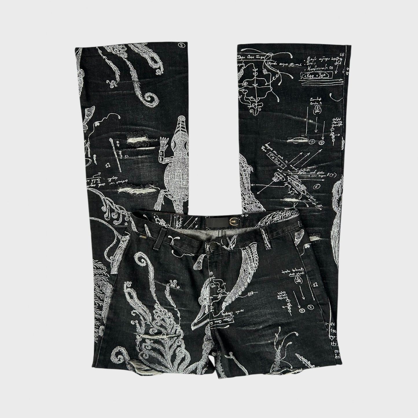 Cavalli Graphic Print Distressed Jeans - S
