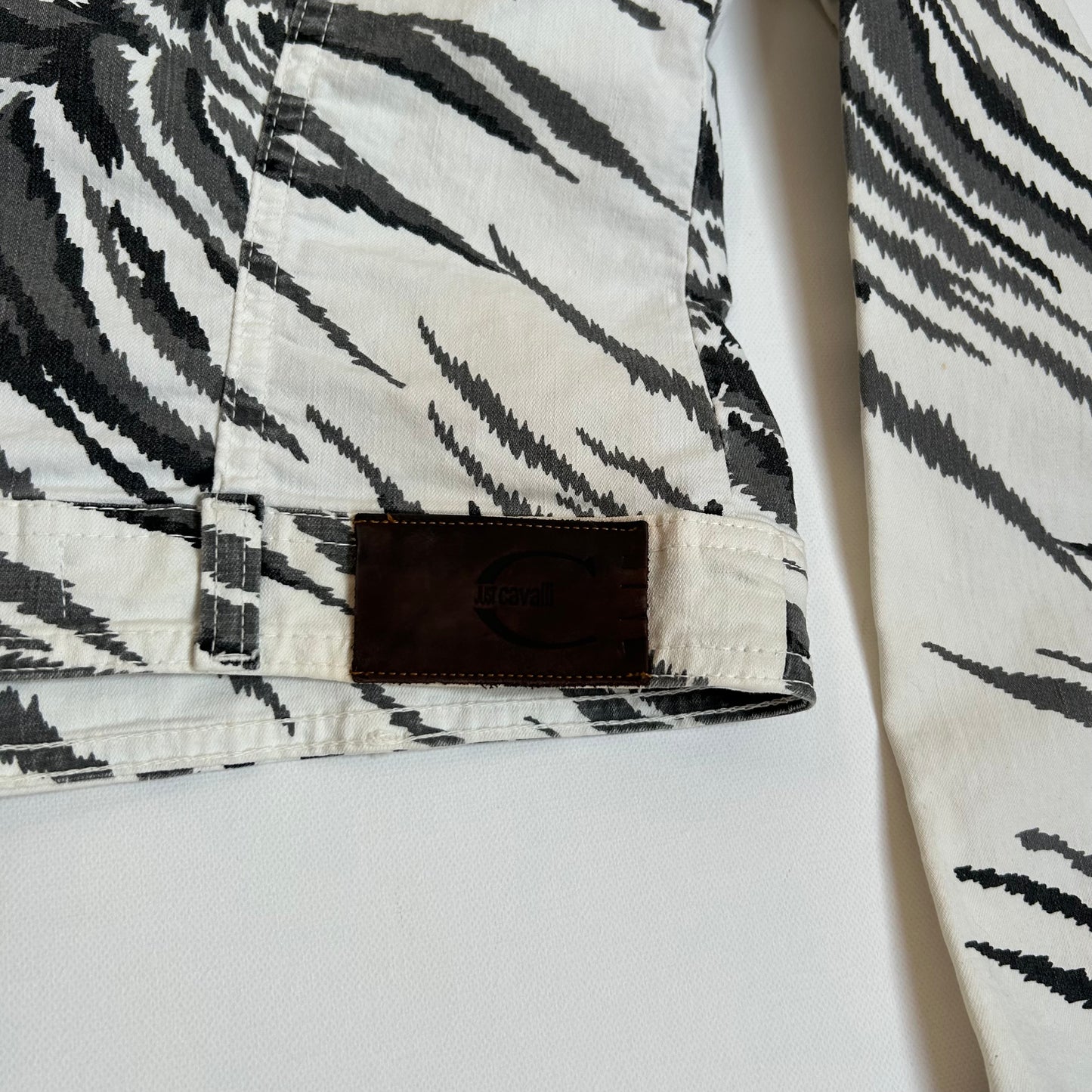 Roberto Cavalli Zebra Print Jacket