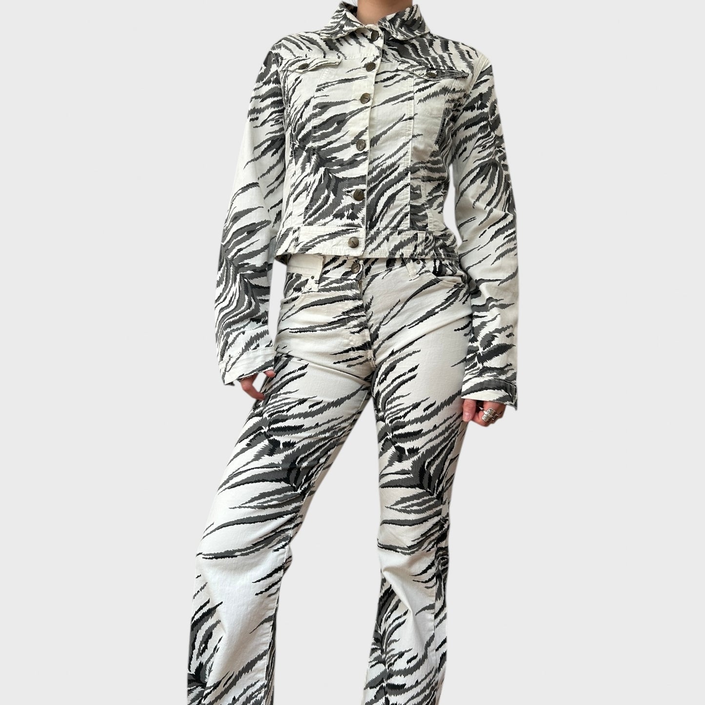 Roberto Cavalli Zebra Print Flared Trousers
