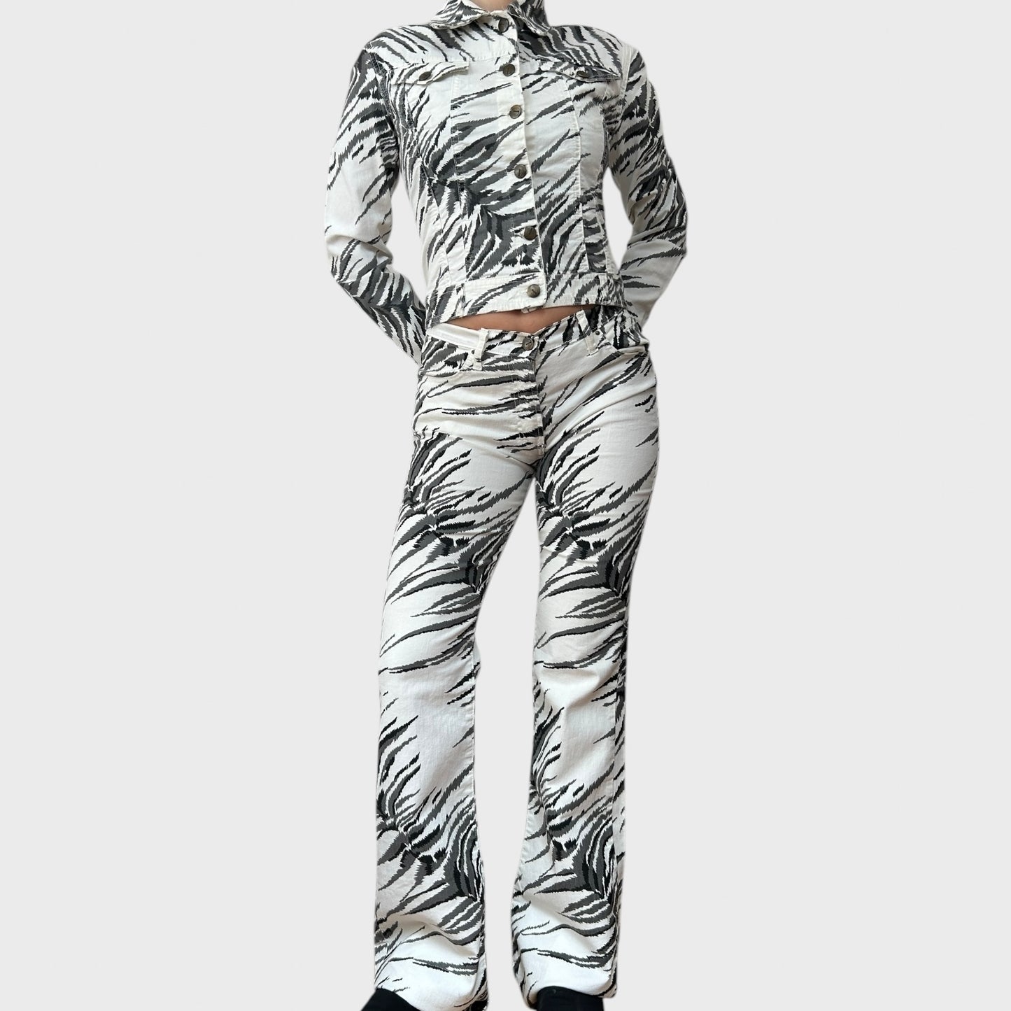 Roberto Cavalli Zebra Print Flared Trousers